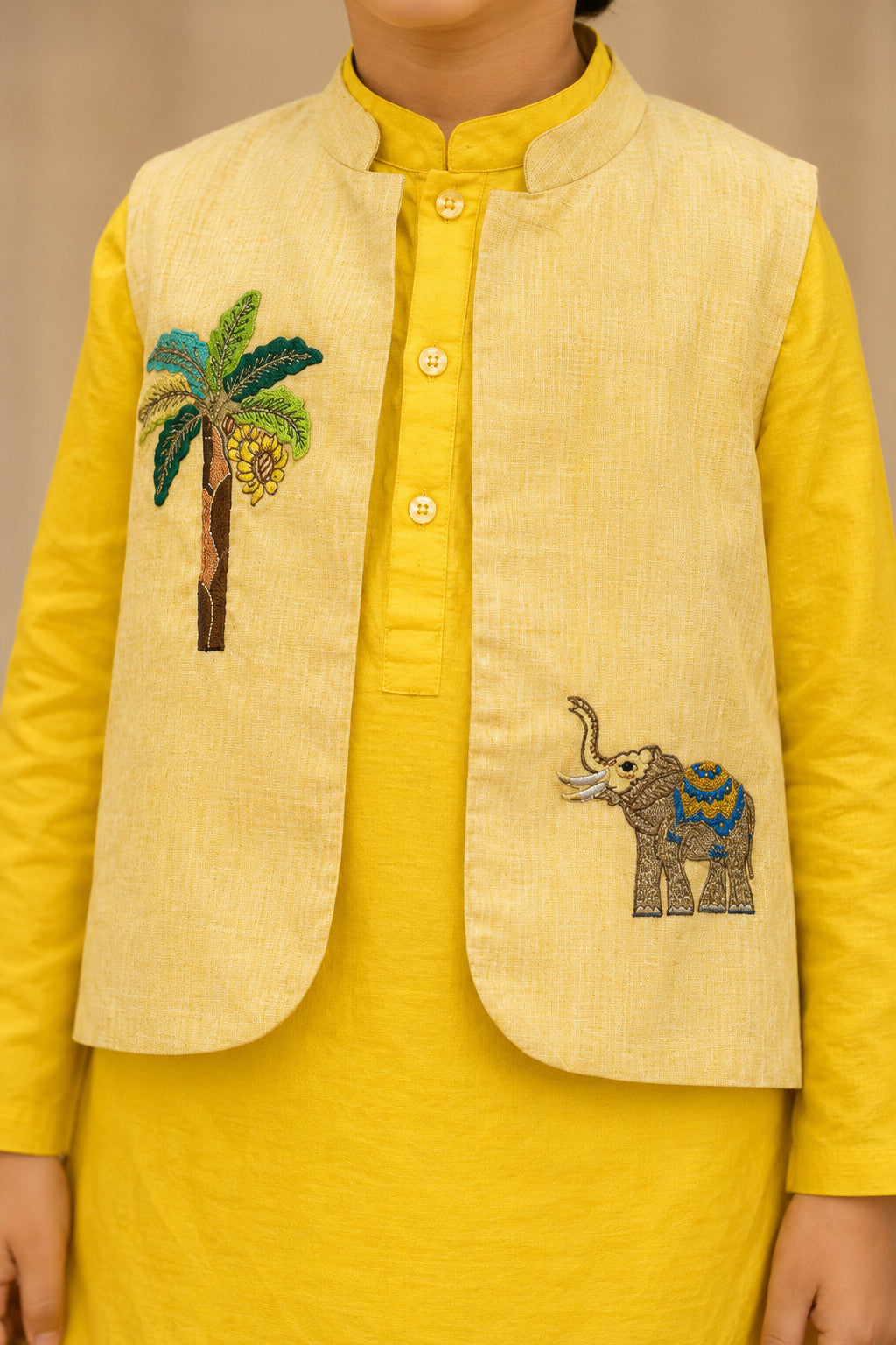 KESAR HATHI JACKET SET - BOYS
