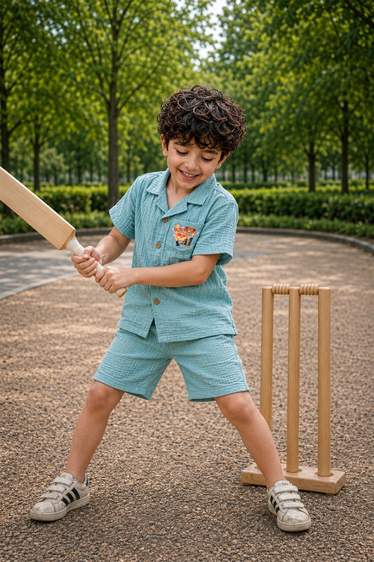 CRICKET WICKET SET