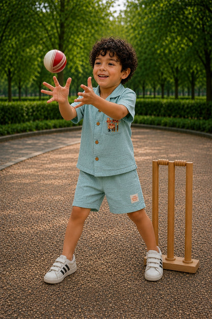 CRICKET WICKET SET